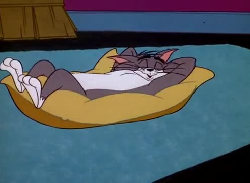 猫和老鼠