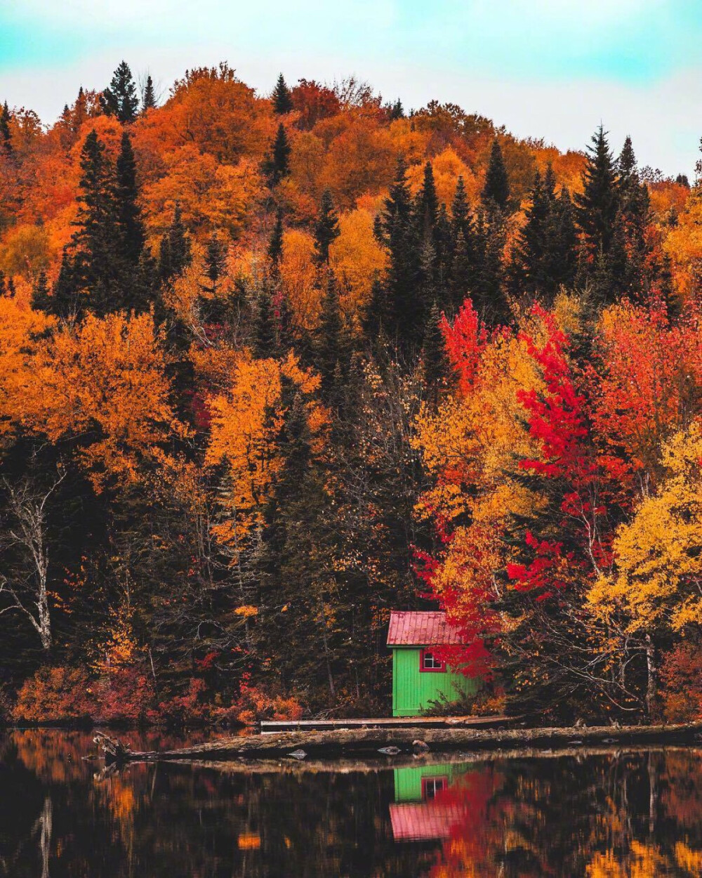 一 抹 秋 色 ​ ​​​