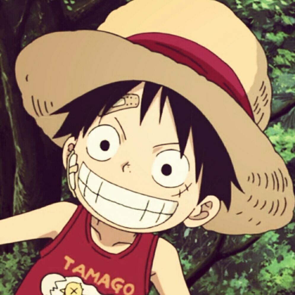 海贼王 路飞 Monkey·D·Luffy