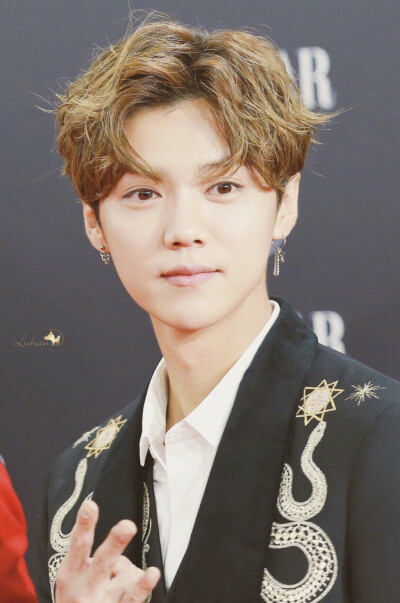 呆萌傻狍子 鹿晗 Luhan #壁纸 #头像