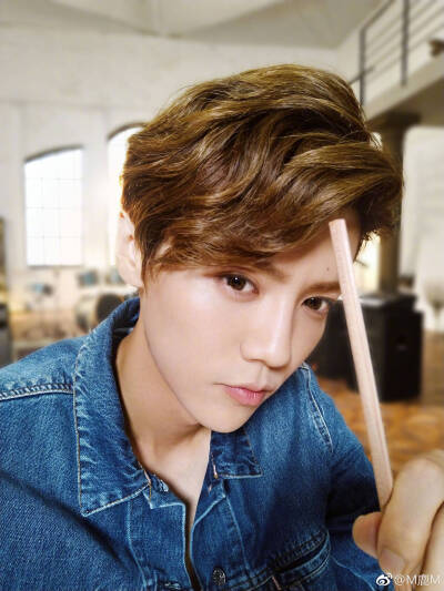 呆萌傻狍子 鹿晗 Luhan #壁纸 #头像