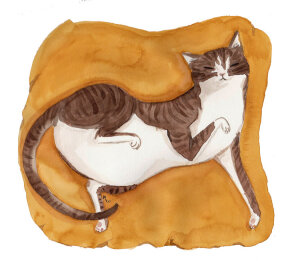 猫咪 插画 By Maggie Cole