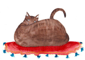 猫