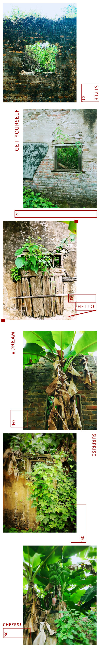 这座村落位于国家水源保护区，为了修建河堤需全部搬迁，照片就是去做调查的时候拍的，房子的主人已无人知晓，成了芭蕉们的天下。