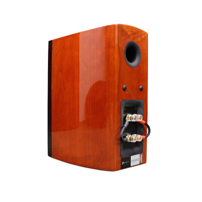 Aperionaudio Verus Grand Bookshelf