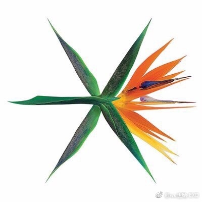 7月8日 22:05 来自 iPhone 7（Jet Black）
KOKOBOP ​​​​