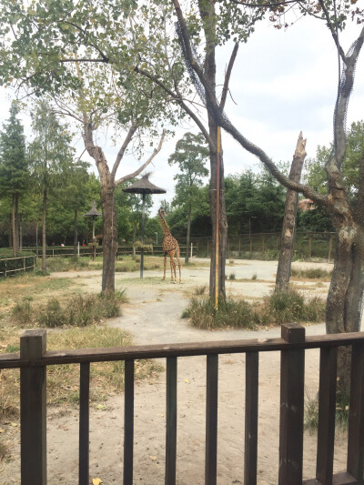 上海野生动物园