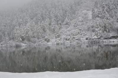 湖中如果有个亭子就可以湖心亭看雪了