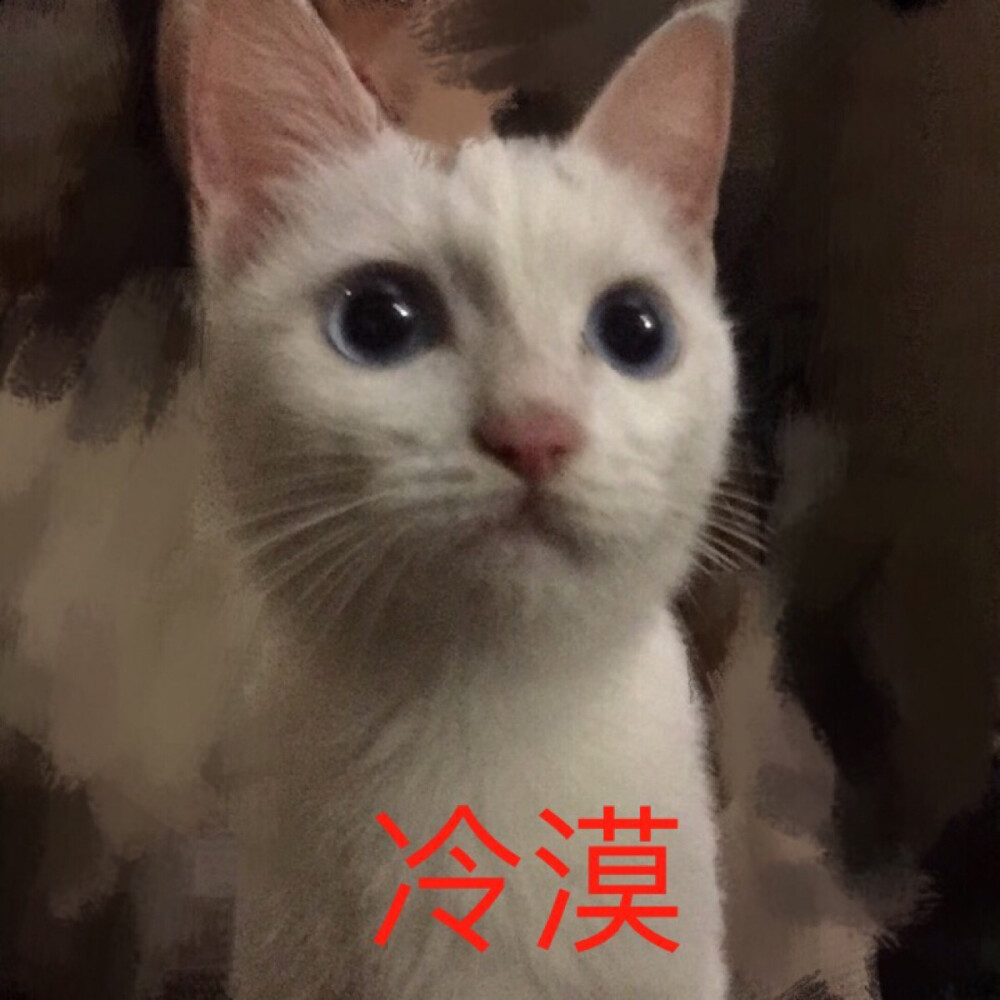 小猫头