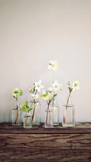 手机壁纸 可爱 平铺 简约 小花 景物 瓶子