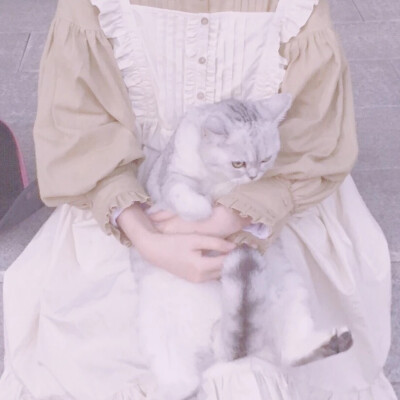 池衾 部位 半身