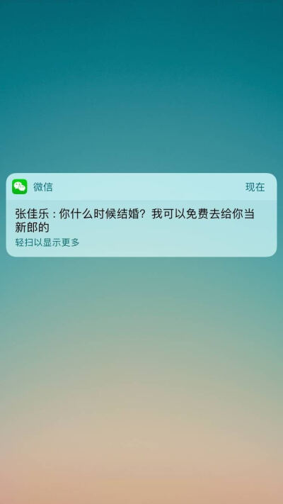 张佳乐