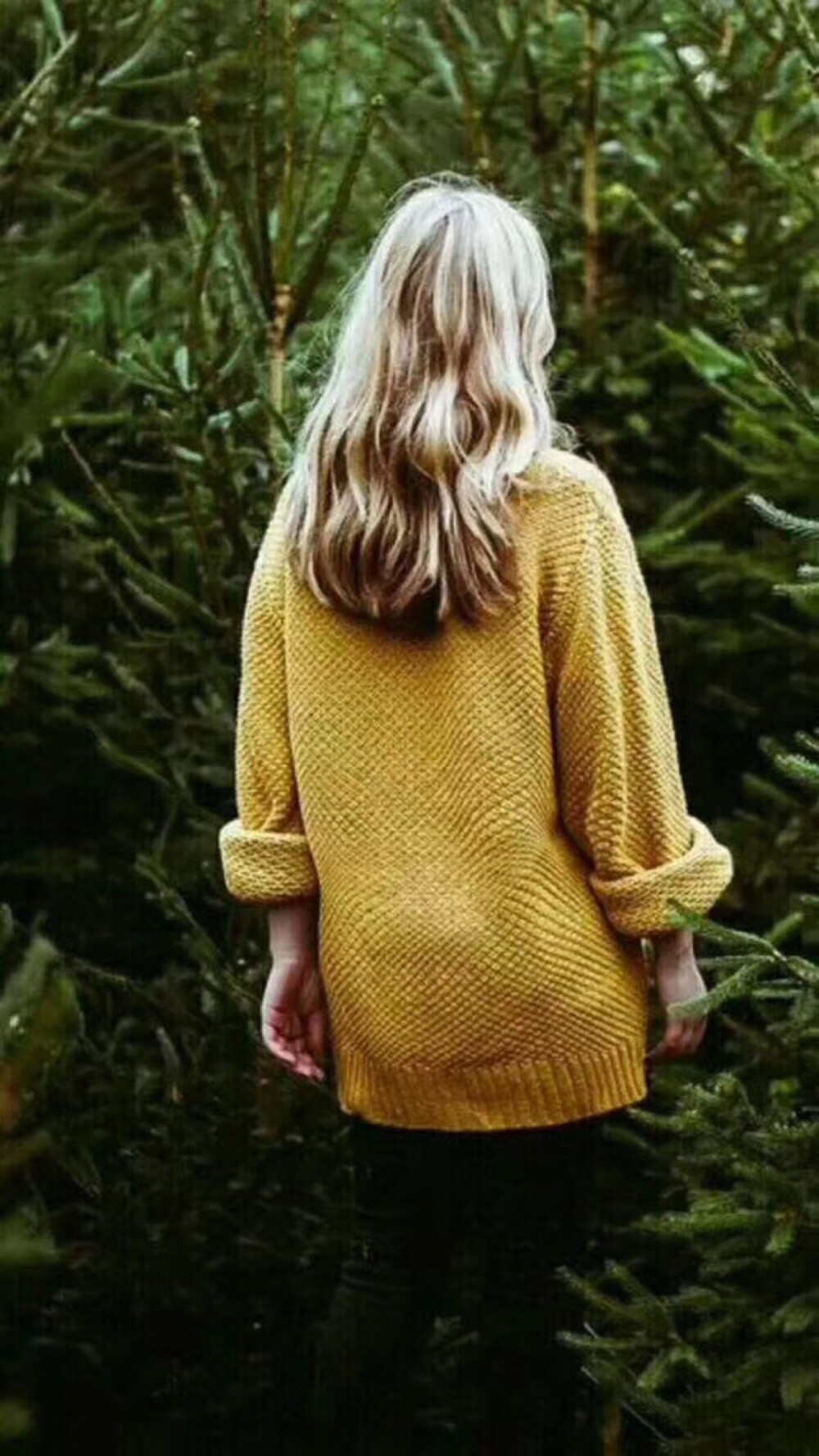  生命是一段精彩的旅程，要活出自己的样子！