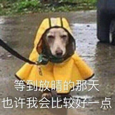 哈哈哈