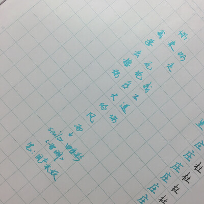 写乐 四季彩 雪明