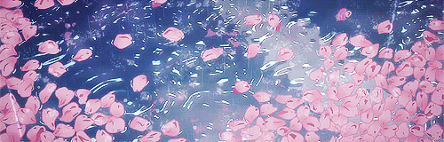 gif 动漫 /陈雨暄