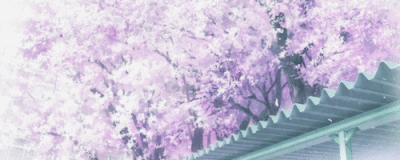 gif 动漫 /陈雨暄