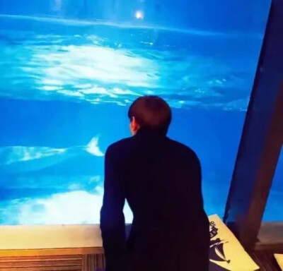 竹魂缘
#现代情侣头像#