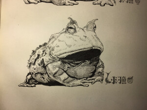 小河鱼的日常每日一画