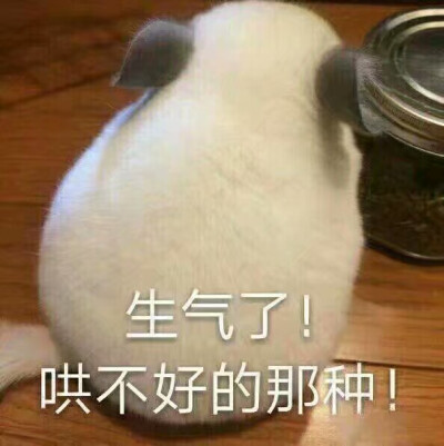 生气哄不好