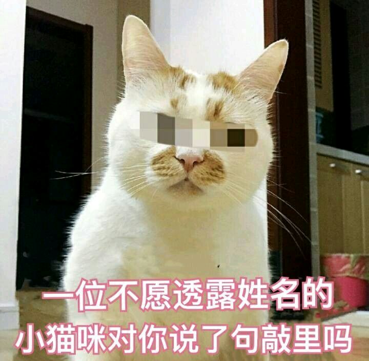 表情包