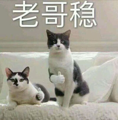 表情包