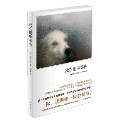 我在雨中等你
