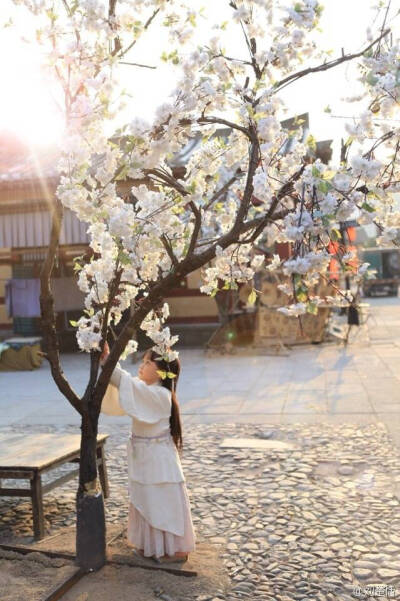 小高月
刘楚恬
秦时明月花絮