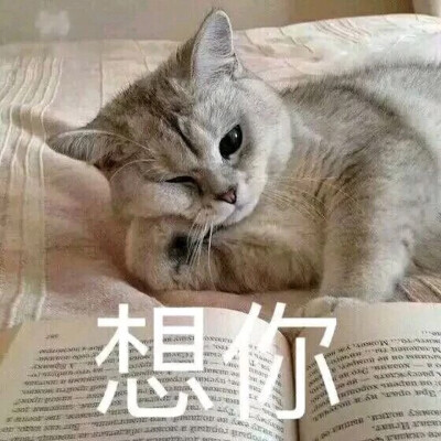 我在想你