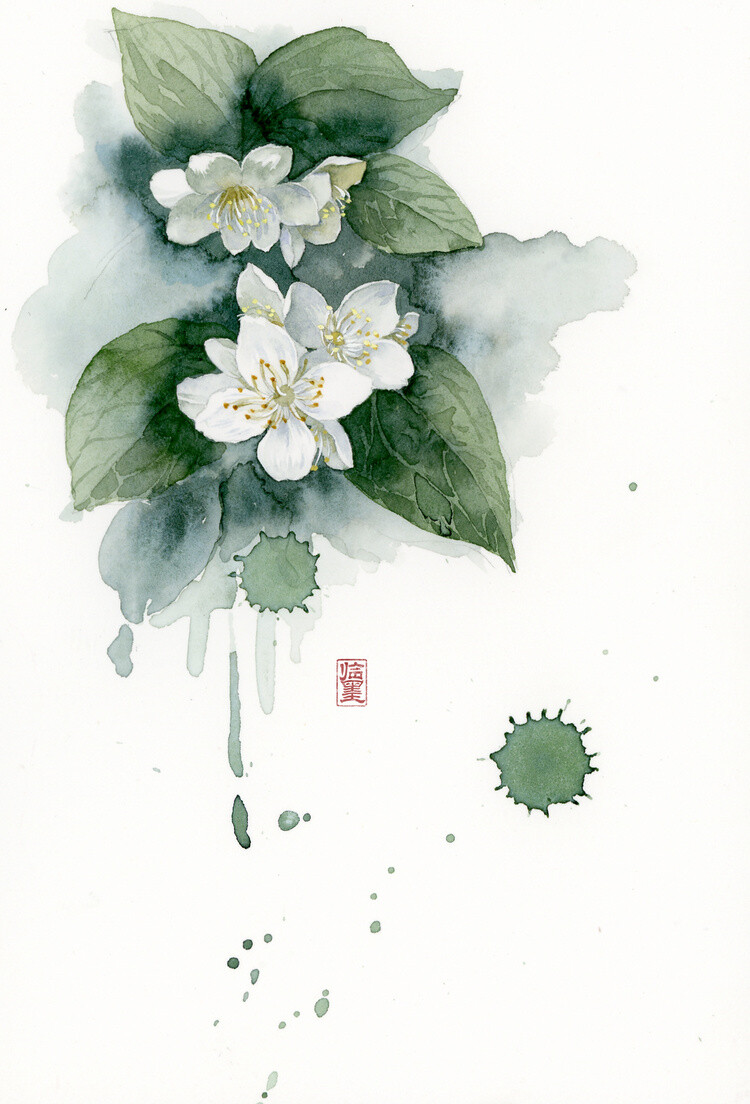 壁纸 唯美 古风 插画 花 水彩