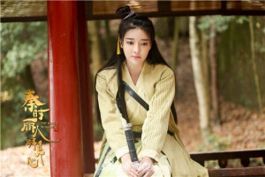 盖兰  张璇
秦时丽人明月心剧照