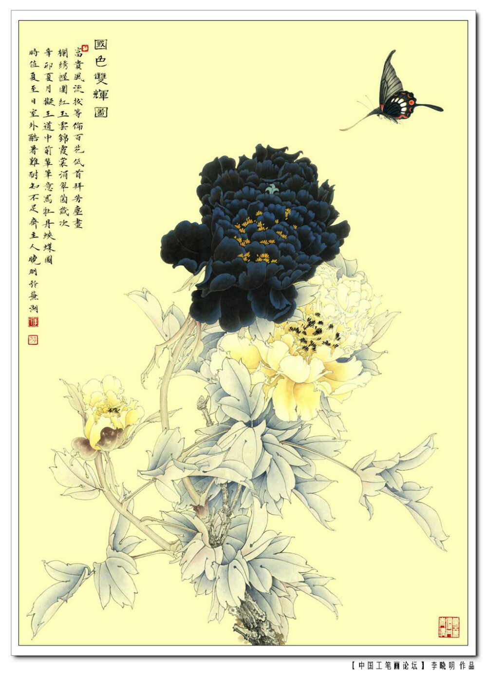 李晓明
工笔画 牡丹