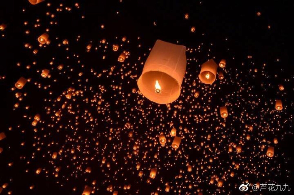 天官赐福 国债花怜 骨折双玄 血雨探花/花三怂 太子谢怜 青鬼戚容 转自微博，具体微博请见图下角标示/千灯观