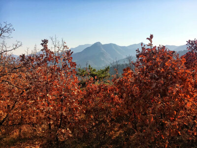 银山塔林