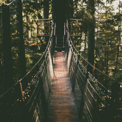 温哥华卡皮拉诺吊桥