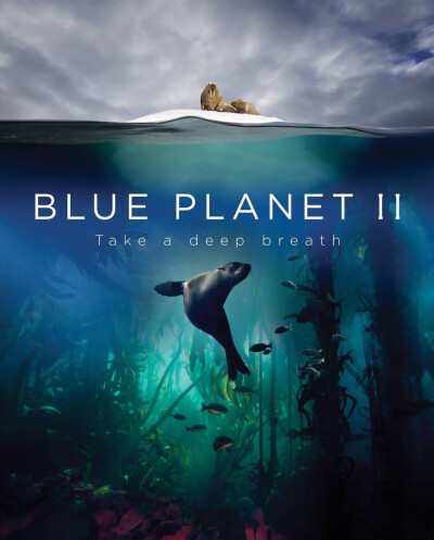 《蓝色星球》（英文：The Blue Planet）是电视史上首套全面探索海洋世界的自然历史专辑。 从热带到极地、从岸边到黑暗的深海，成千上万种的奇异生物、植物从你眼前掠过，许多鲜为人知的海洋秘密，许多人类从未涉足的…