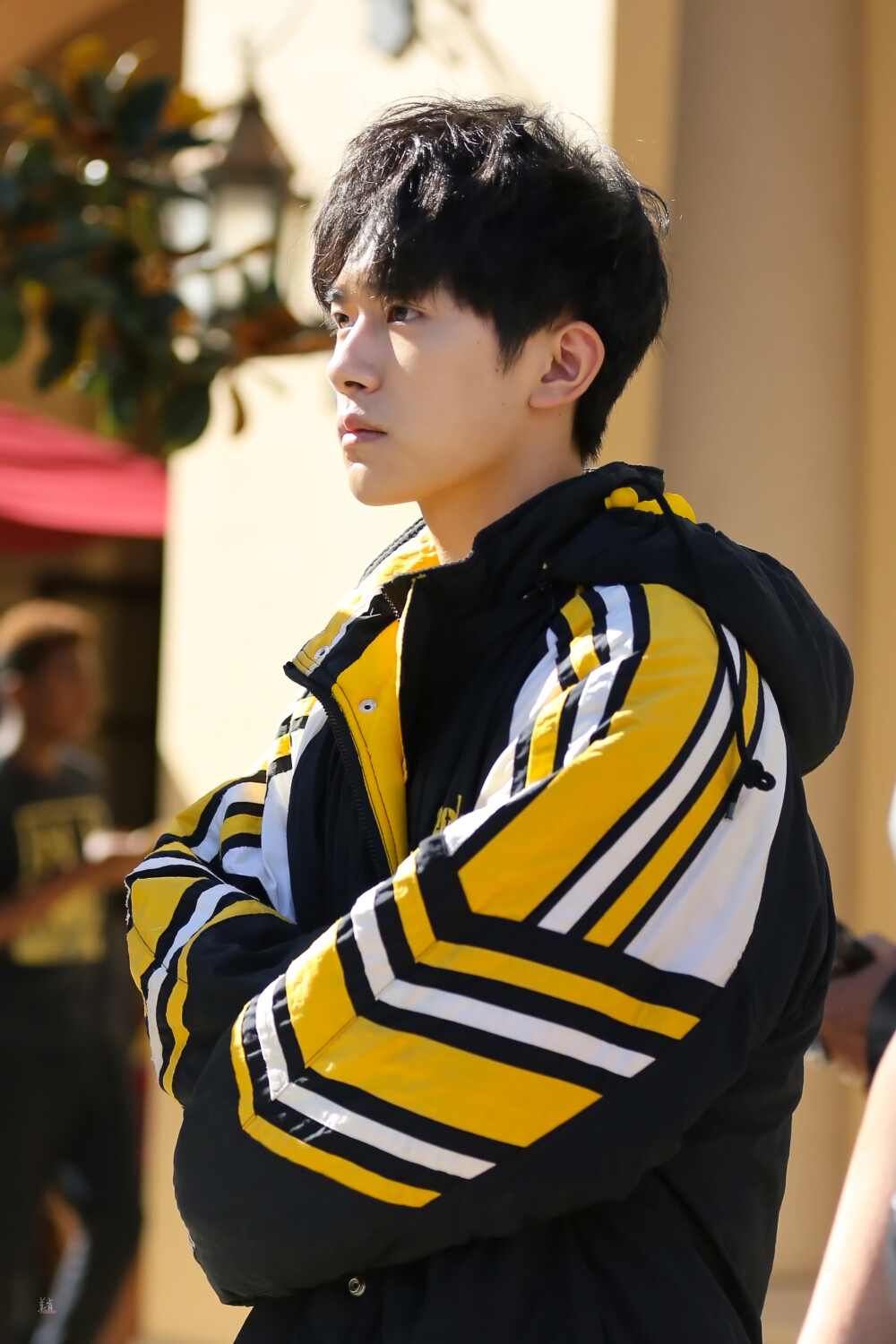 壁纸 Jackson Yee.