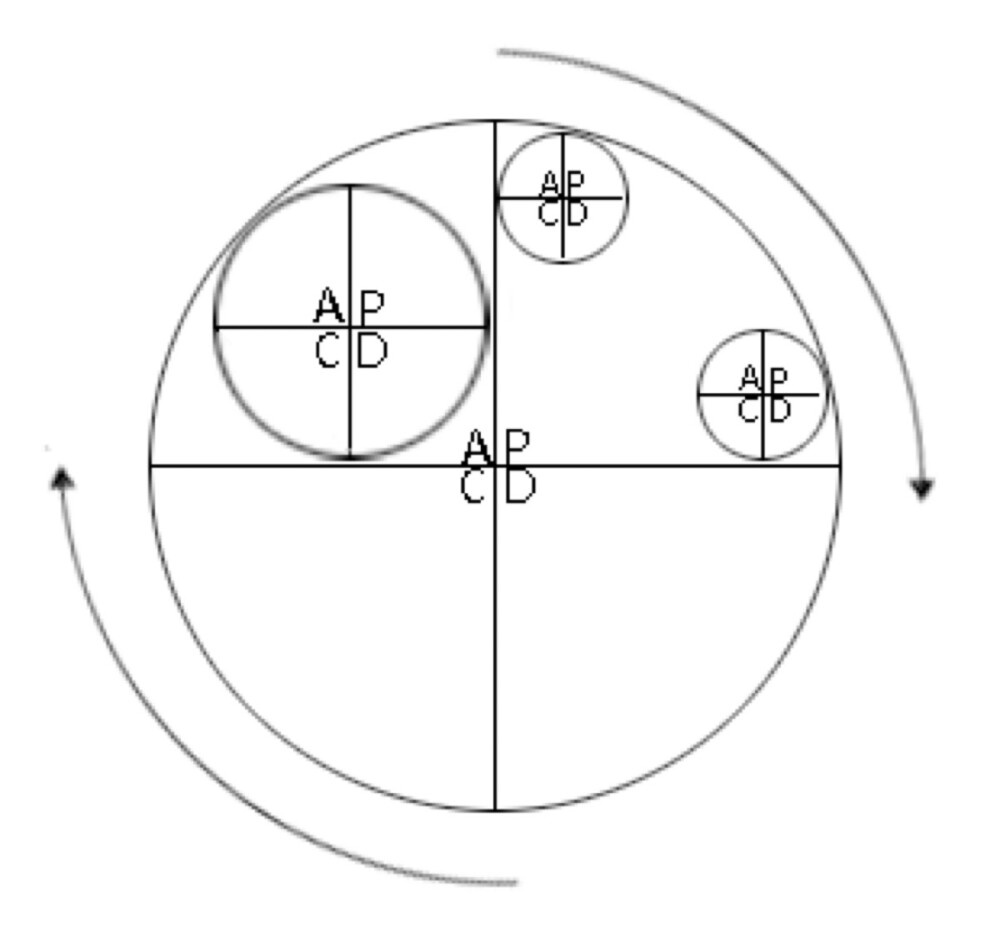 PDCA