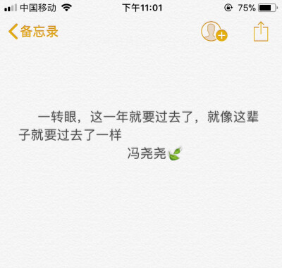 一转眼，这一年就要过去了，就像这辈子就要过去了一样