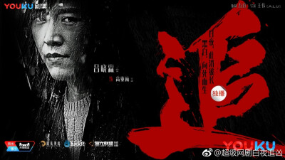 白夜追凶，2017，优酷出品，潘粤明、王泷正主演超级剧集