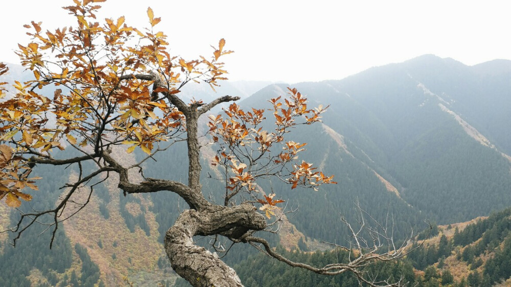 兴隆山