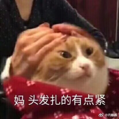 妈 头发扎的有点紧