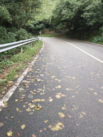 前往大青山 朱家尖步道