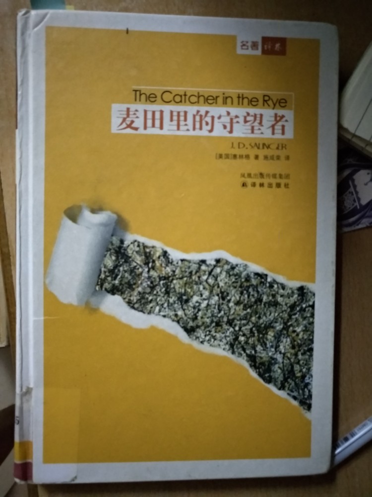 较为忤逆的高中学生，退学后在社会中游离，见识到了各种未经历过的事，关心他的人也在帮助他。感觉我们好像故事中的主角，兄妹相互支撑，一直对对方好…
谢谢，L
*^_^*