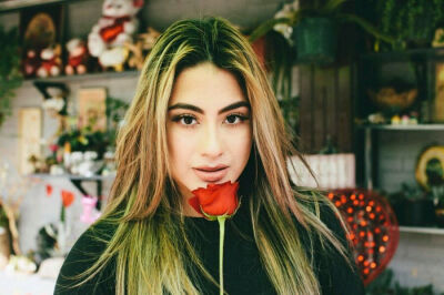 Ally brooke fifth harmony