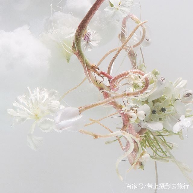 水中花