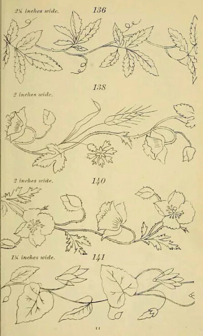 植物手绘 藤蔓