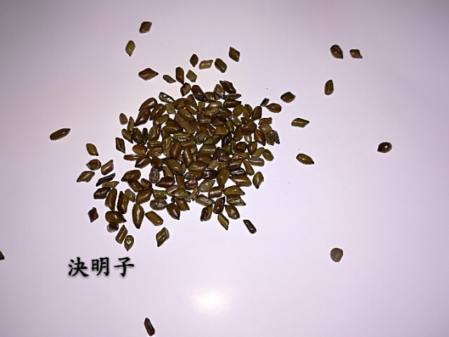 决明子