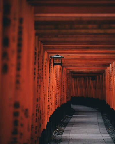 鸟居神社