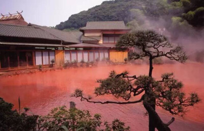 血池温泉
日本北府
血池温泉是日本别府知名的“地狱”温泉。它泛着血红色的泉水，好似想象中地狱的景象，而这种红色全得益于水体中富含的元素。